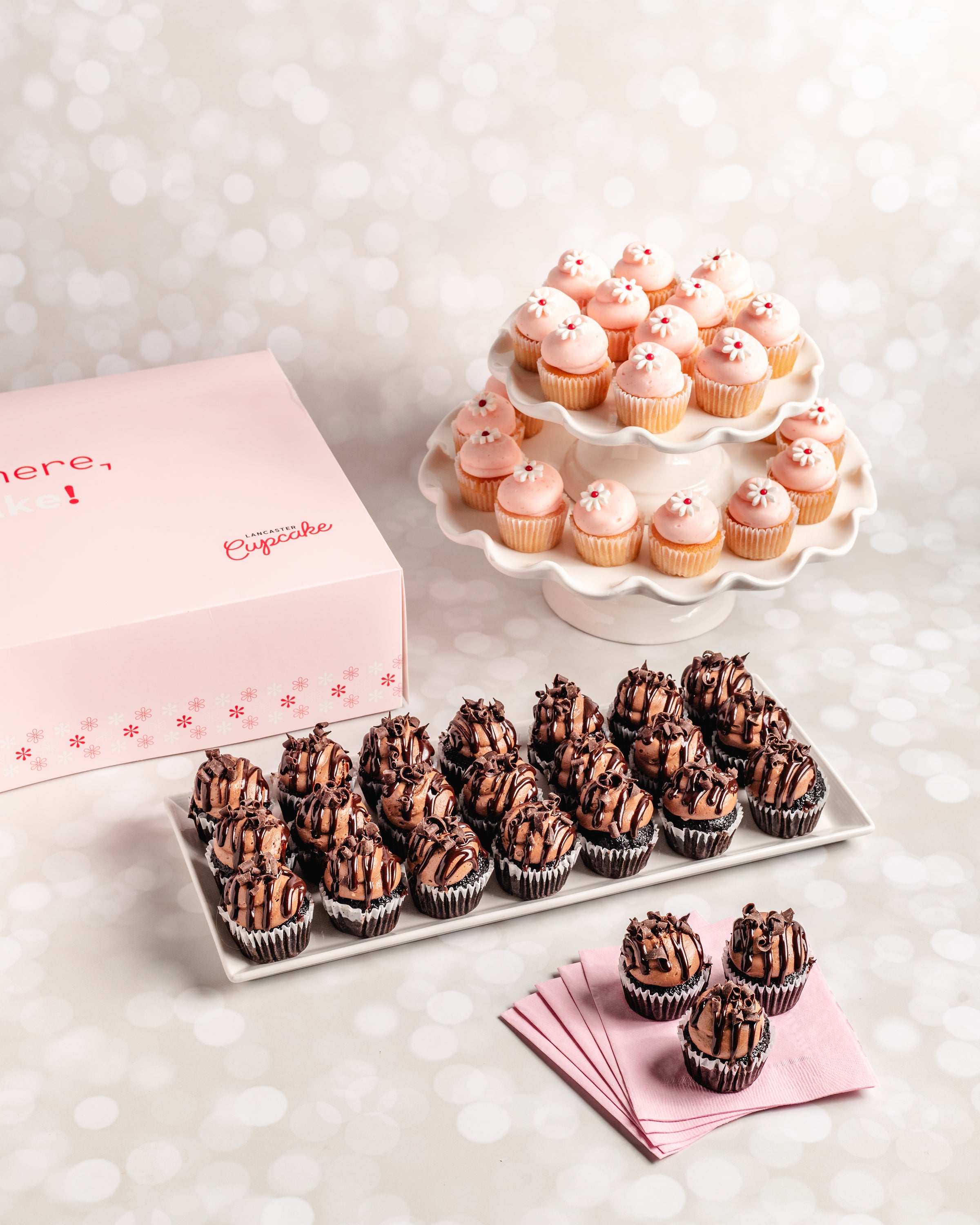 THE MINI CUPCAKE for MEAL ミニカップケーキの本と雑貨 Two Dozen Mini Cupcakes | Little Miss Cupcape